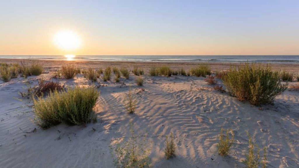 Top 5 Plaje Ascunse din Dobrogea pe care Trebuie să le Vezi